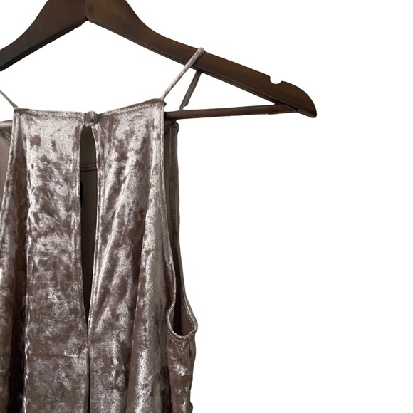 The Vanity Room Crushed Velvet Dress - Picture 5 of 5